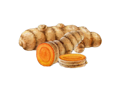 Curcumin